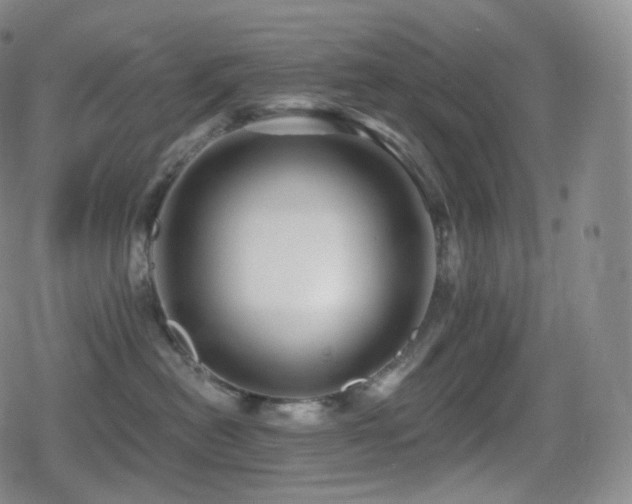 X0000080720478200612151203