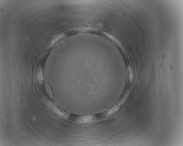 X0000080720479200612151203