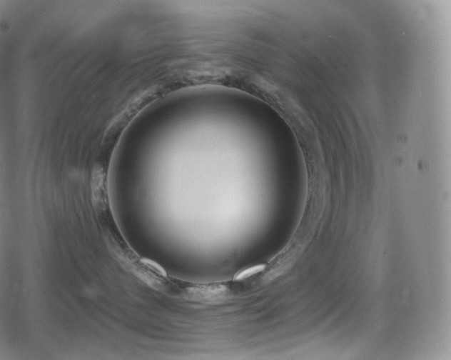 X0000080720480200612151203