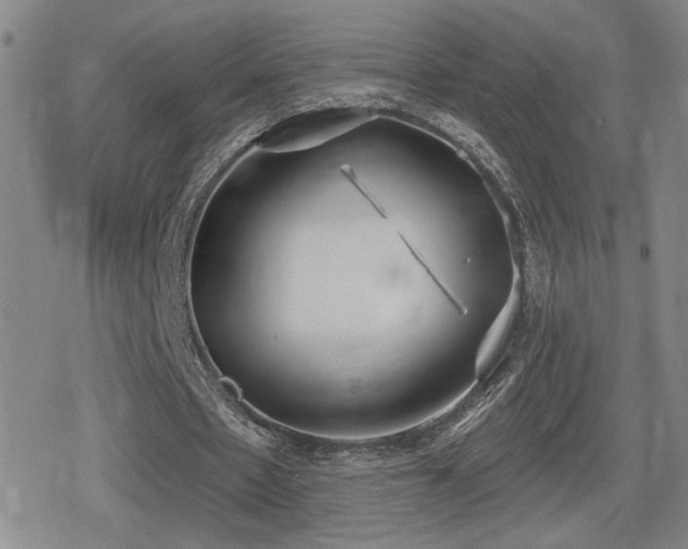 X0000080720481200612151203