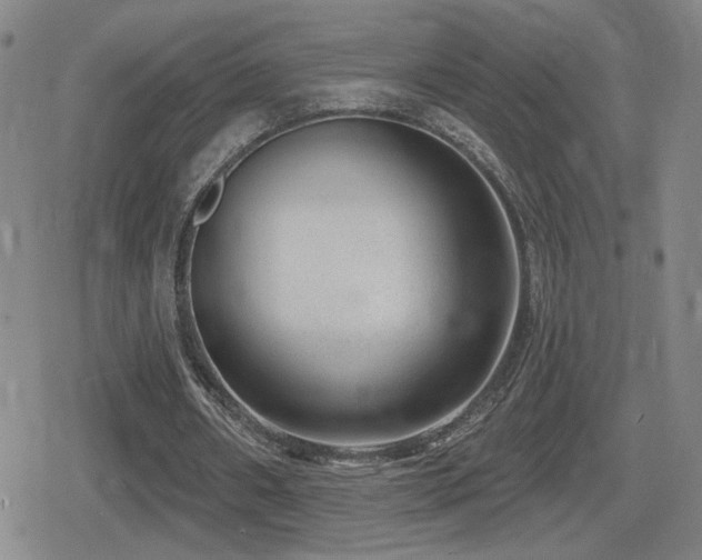 X0000080720482200612151203