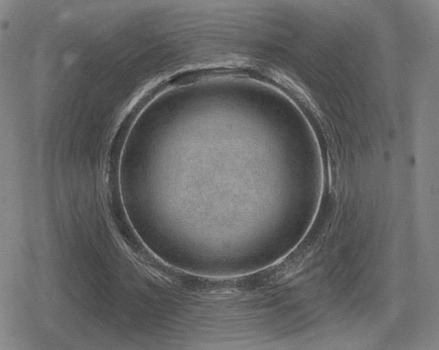 X0000080720483200612151203