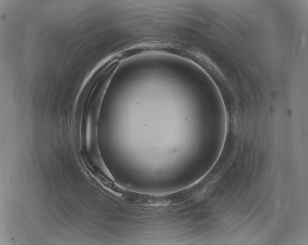 X0000080720484200612151203