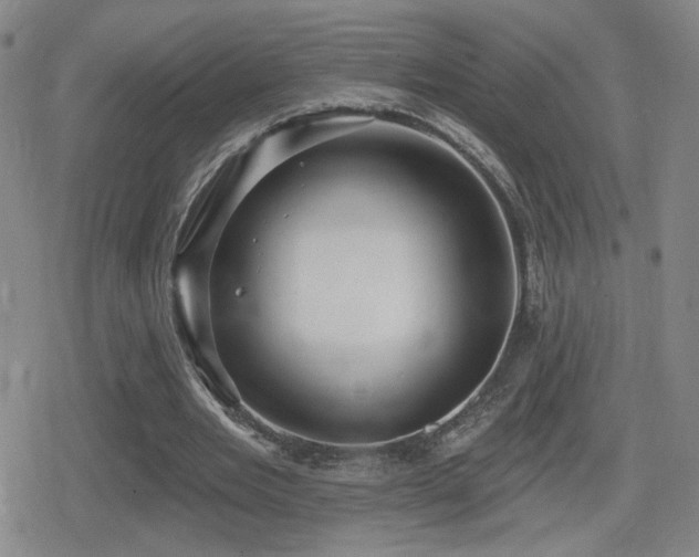 X0000080720485200612151202