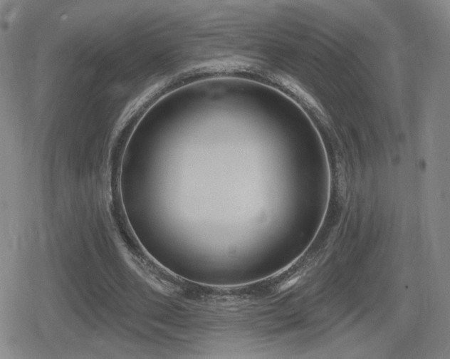 X0000080720486200612151202