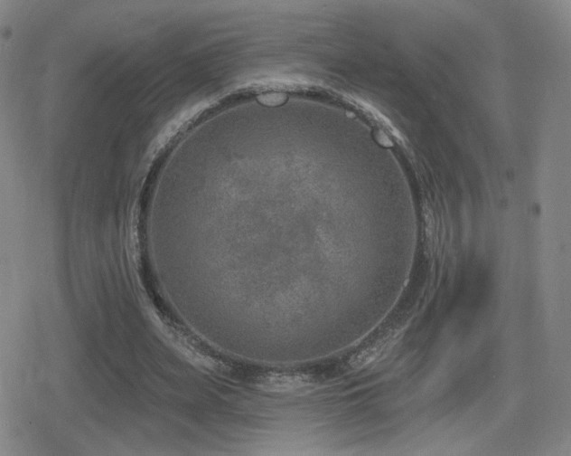 X0000080720487200612151202