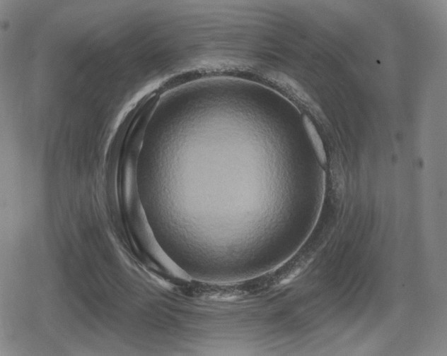 X0000080720488200612151202