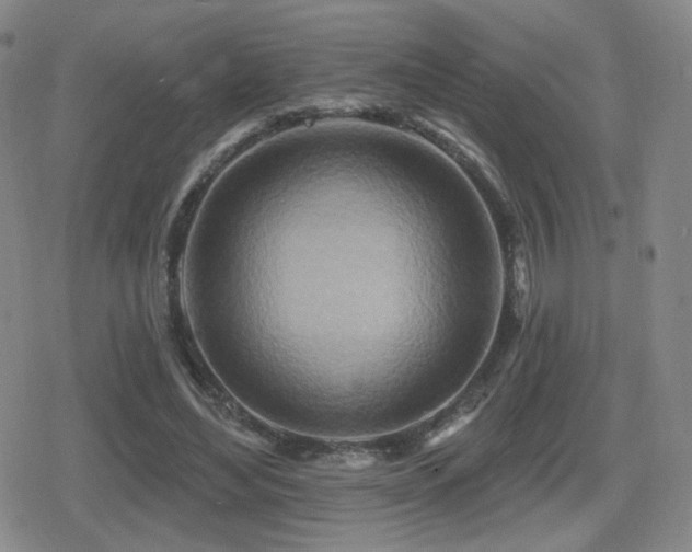 X0000080720492200612151202