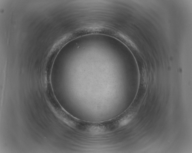 X0000080720494200612151202