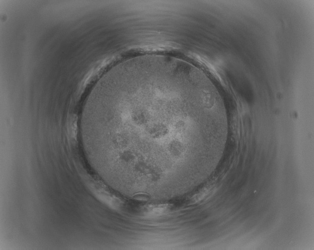 X0000080720495200612151202