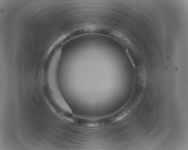 X0000080720496200612151202