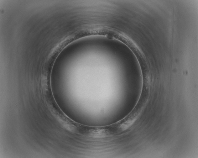 X0000080720497200612151202