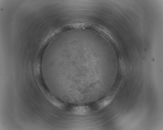 X0000080720499200612151202