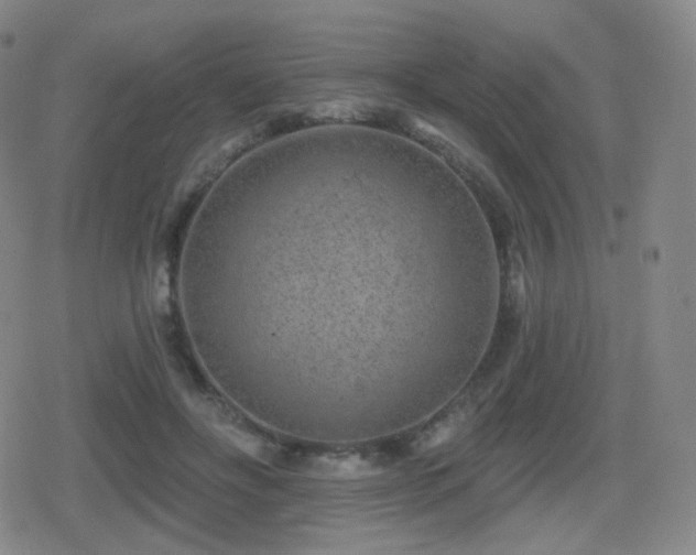 X0000080720502200612151202