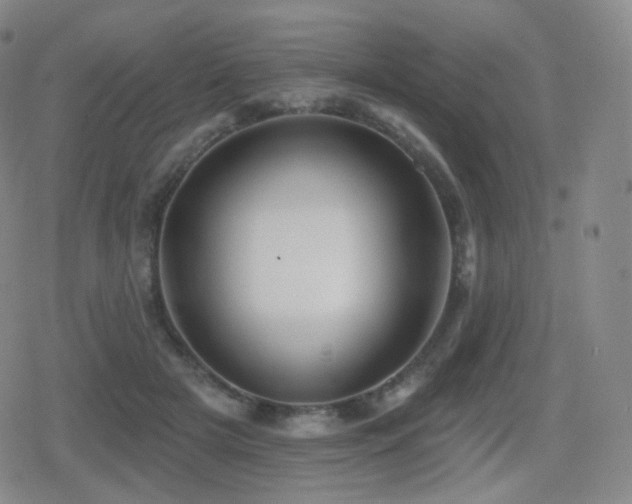 X0000080720505200612151202