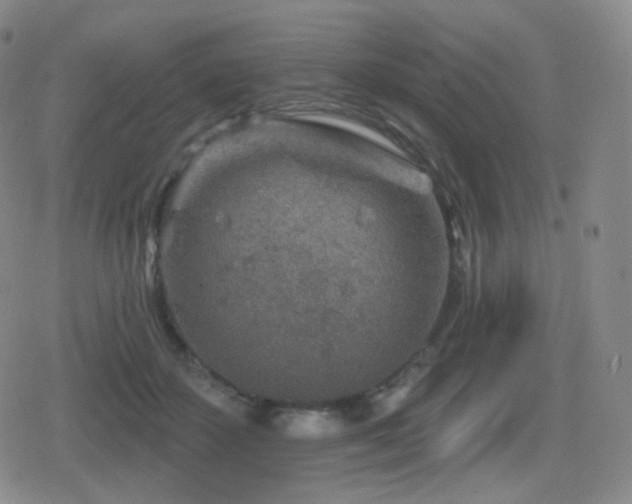 X0000080720507200612151202