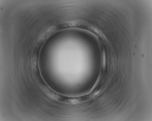 X0000080720509200612151202