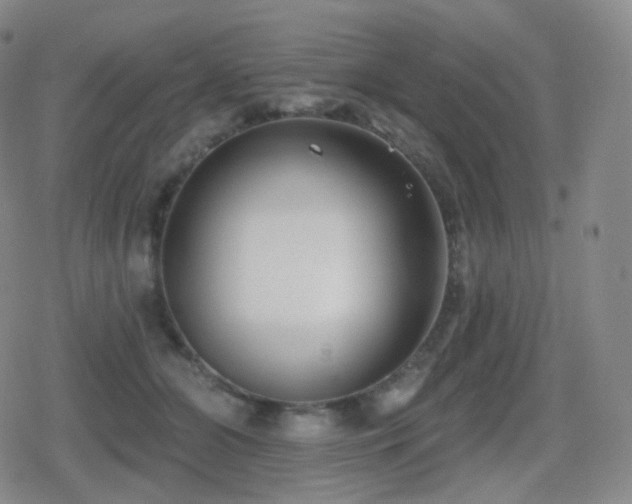 X0000080720510200612151202