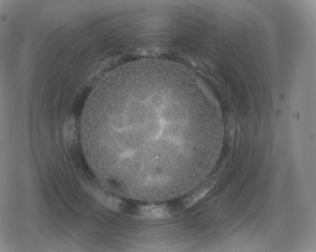 X0000080720511200612151202