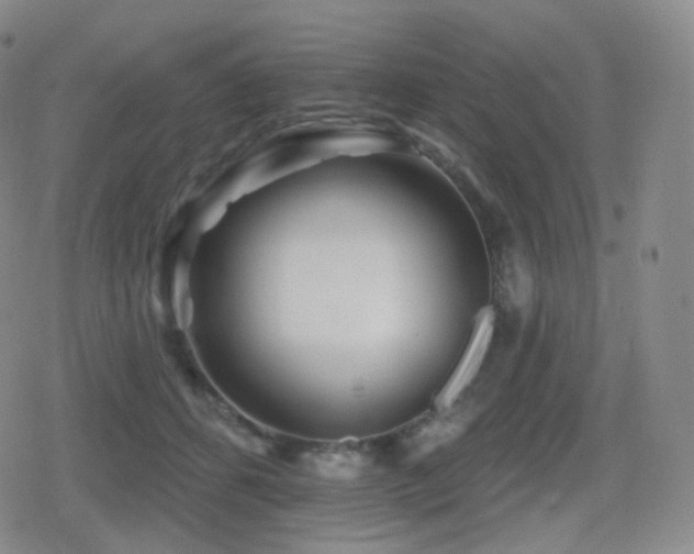 X0000080720512200612151202