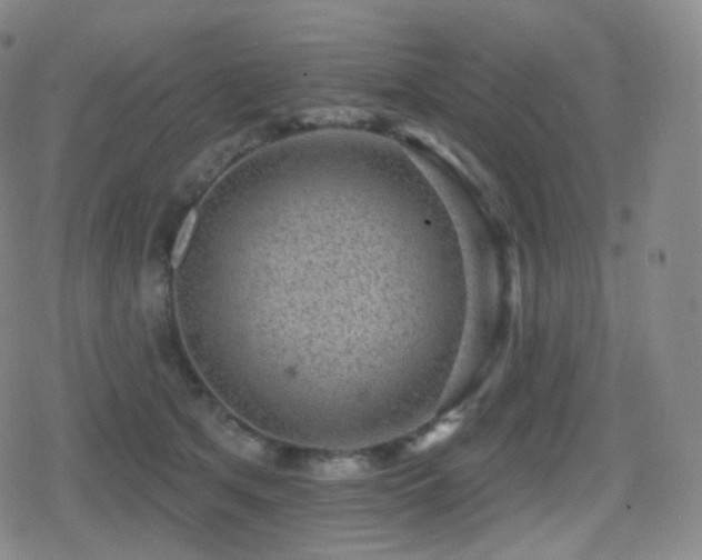 X0000080720513200612151202