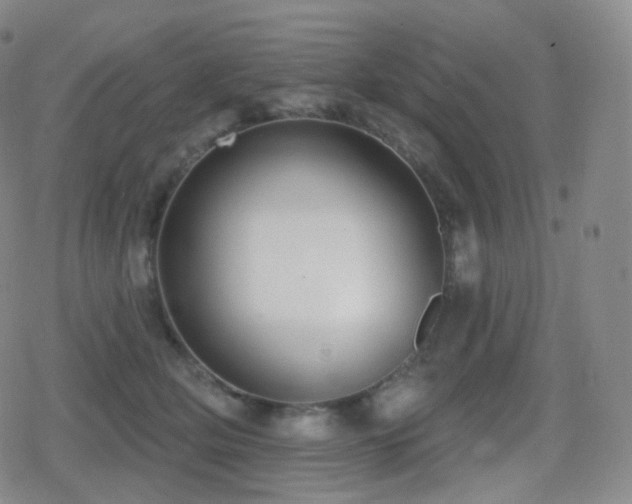 X0000080720514200612151202