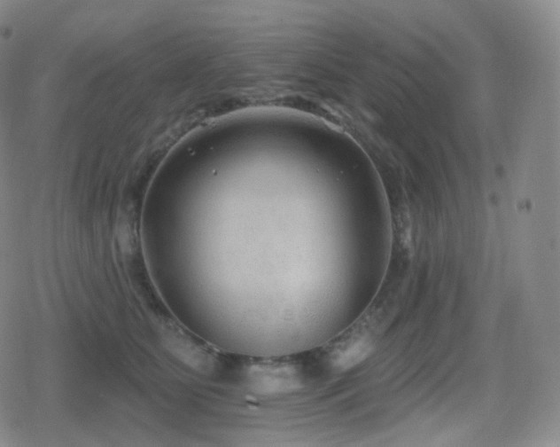 X0000080720515200612151202