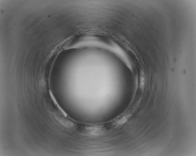 X0000080720516200612151202