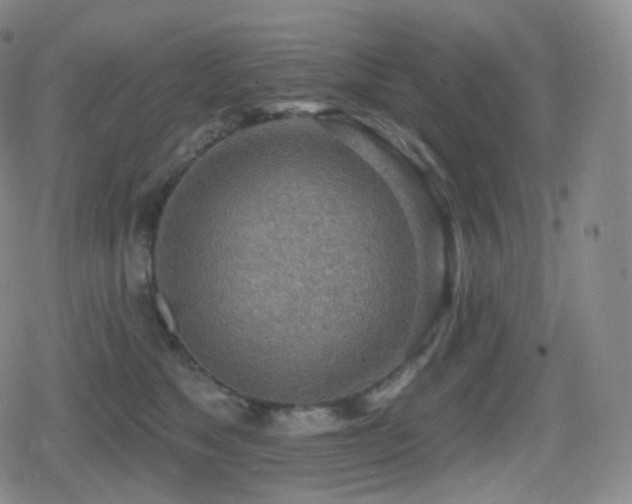 X0000080720517200612151202