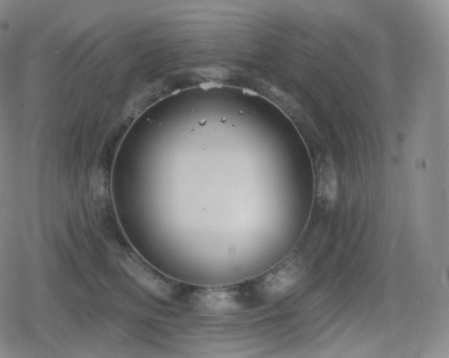 X0000080720518200612151202