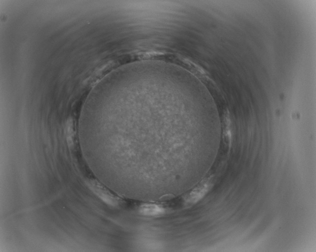 X0000080720519200612151202