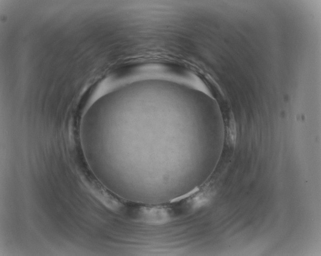 X0000080720520200612151202