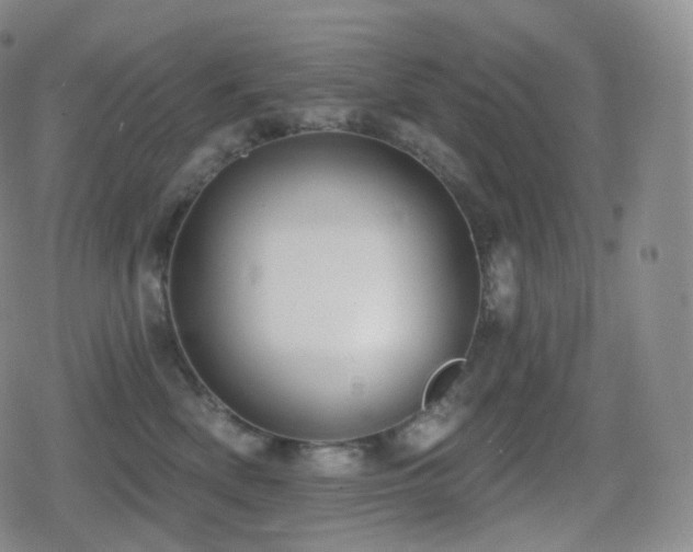 X0000080720522200612151202