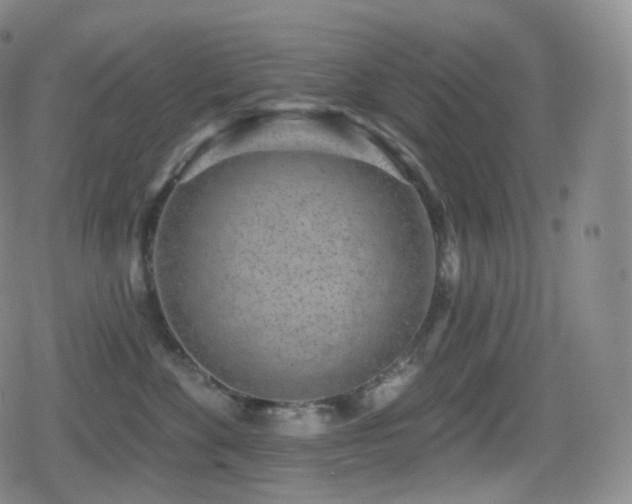 X0000080720524200612151202