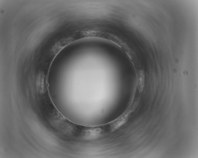 X0000080720525200612151202