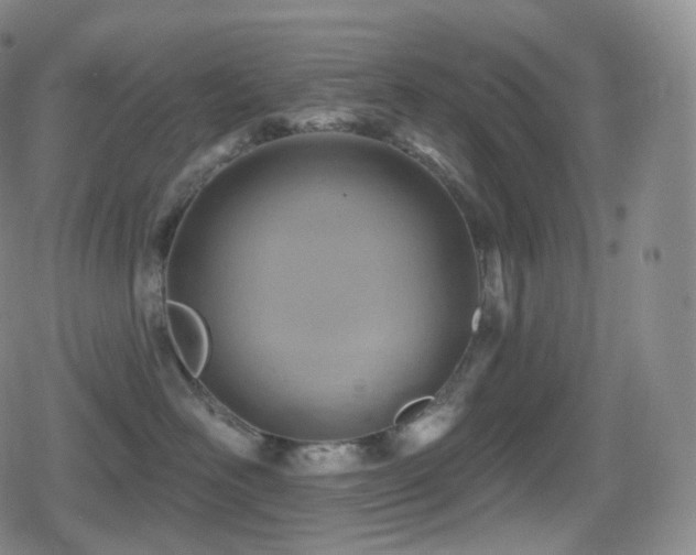 X0000080720526200612151202