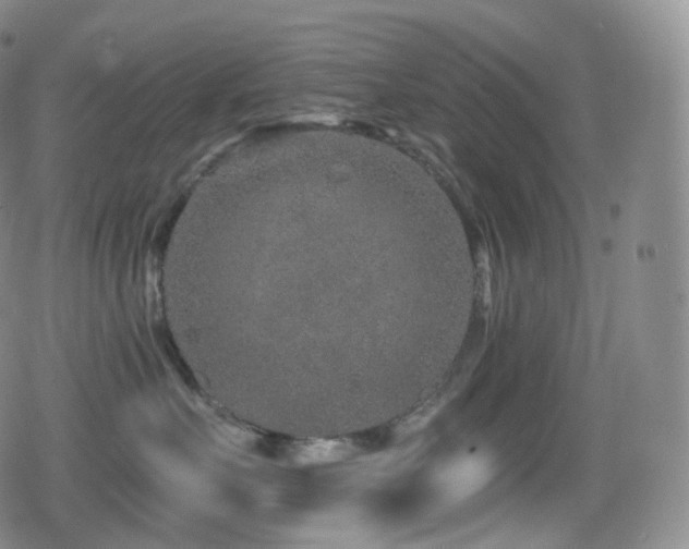 X0000080720527200612151202