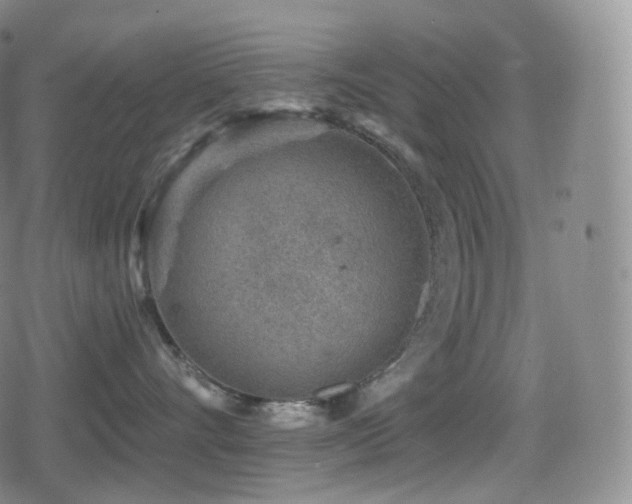 X0000080720528200612151202