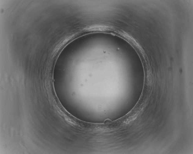 X0000080720529200612151201