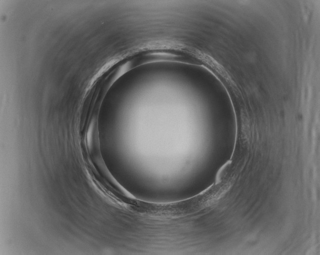 X0000080720530200612151201