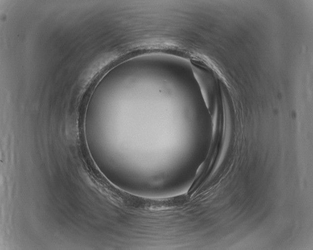 X0000080720531200612151201