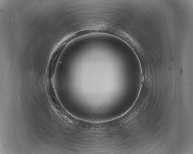 X0000080720532200612151201