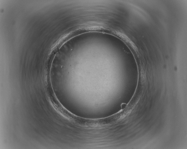 X0000080720533200612151201