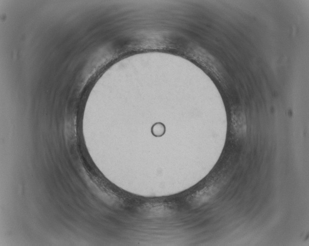 X0000080720534200612151201