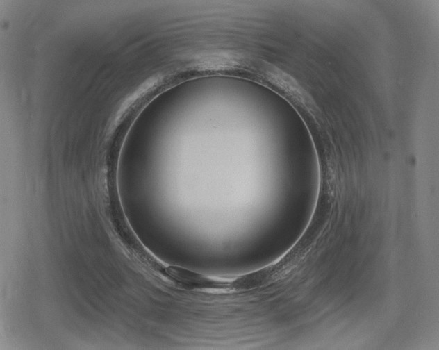 X0000080720535200612151201