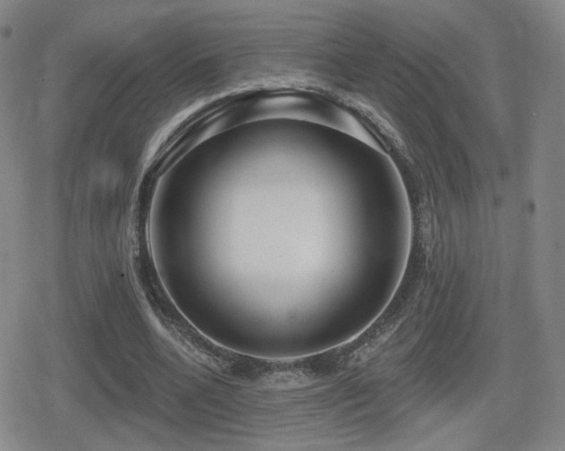 X0000080720536200612151201