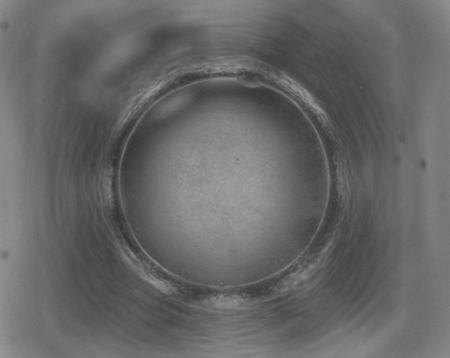 X0000080720537200612151201