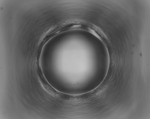 X0000080720538200612151201