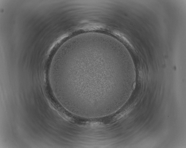 X0000080720539200612151201