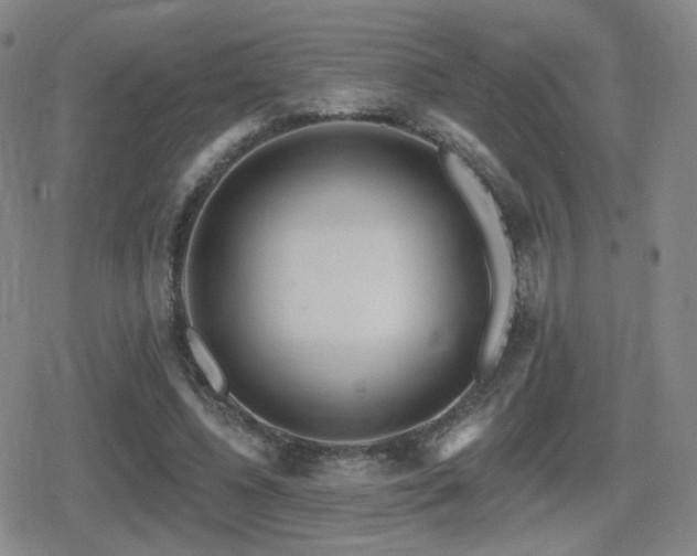 X0000080720540200612151201